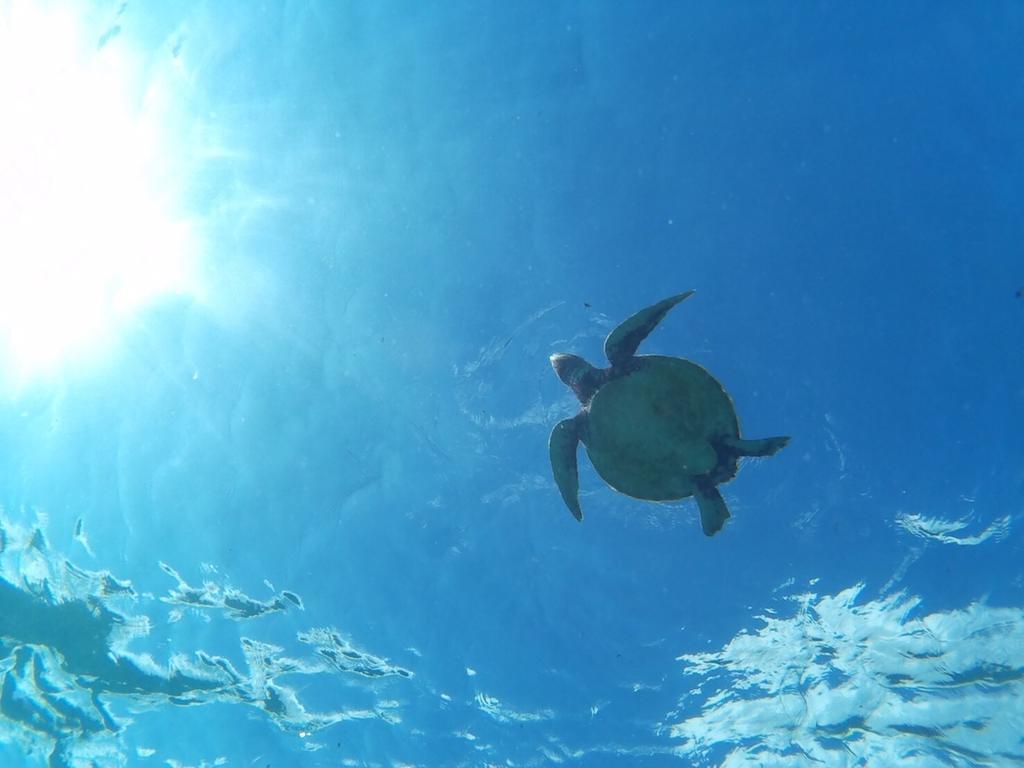 Ocean Villa Honey Miyakojima  Eksteriør billede